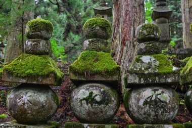 Wakayama, Japonya - 24 Kasım 2016. Wakayama' daki Koya Dağı'ndaki (Koyasan) Okunoin Mezarlığı' ndaki antik mezar taşları, Japonya.