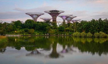 Singapur - 12 Mar 2016. Supertree Grove Gardens Singapur Bay tarafından. Supertree Singapur en ikonik ve tanınabilir konumlar biri haline gelmiştir.