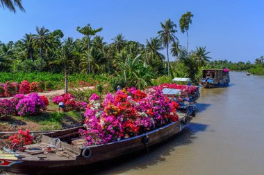 Mekong Delta, Vietnam 'da çiçek taşıyan ahşap tekne..