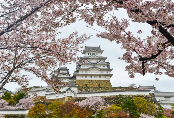 Antiguo Castillo Himeji Japón Con Flor Cerezo Primavera — Foto de Stock