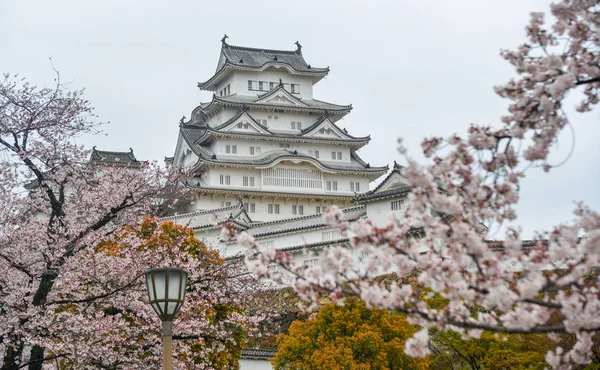 Antiguo Castillo Himeji Japón Con Flor Cerezo Primavera — Foto de Stock