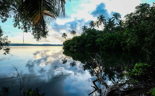 River scenery with coconut trees at sunrise in Hikkaduwa, Sri Lanka.