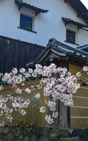 Třešňové Květiny Starobylá Budova Nara Japonsku Nara Staré Hlavní Město — Stock fotografie