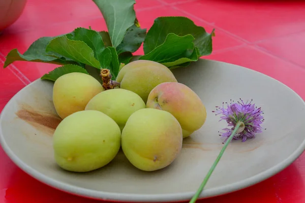 田舎の家で白いセラミック料理に新鮮なアプリコットの果物 — ストック写真