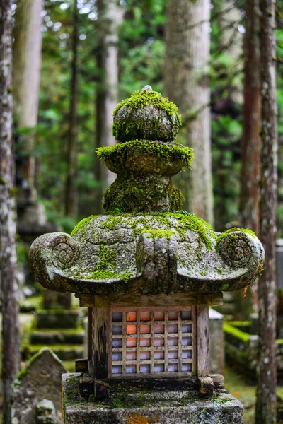 Ancient Stone Lantern Pine Forest Mount Koya Japan — Stock Photo, Image