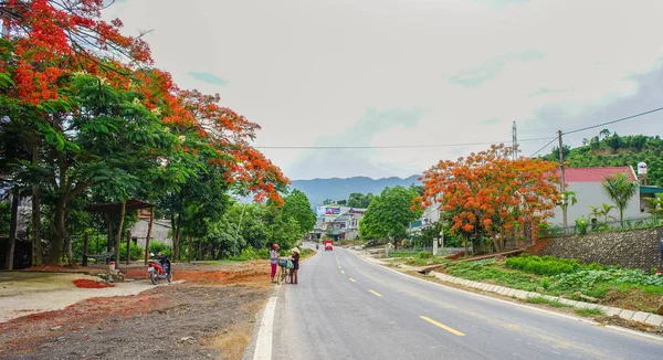 巴奇宁 2016年5月25日 巴奇宁的乡村道路 巴辛是越南的一个省 位于首都河内以东 — 图库照片