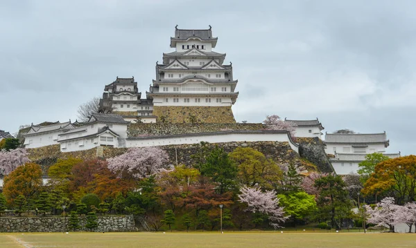 Antico Castello Himeji Giappone Con Fiori Ciliegio Primavera — Foto Stock