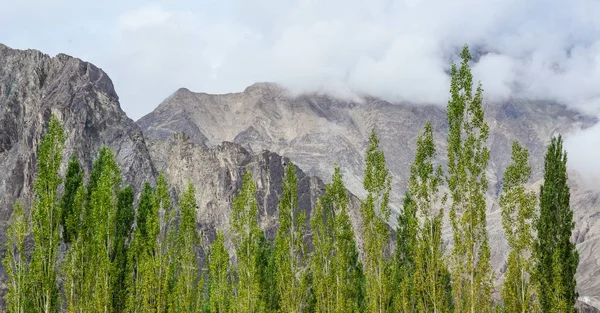 Berglandschap Zomerdag Ladakh India Ladakh Het Hoogste Plateau Staat Jammu — Stockfoto