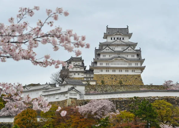 Ancien Château Himeji Japon Avec Fleur Cerisier Printemps — Photo