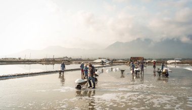 Nha Trang, Vietnam - 21. Nha Trang, Vietnam'da tuz sahasında çalışan insanlar. Tuz alanları Nha Trang en eşsiz yerlerinden biridir.