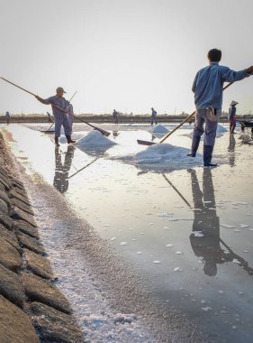 Nha Trang, Vietnam - 21. Nha Trang, Vietnam'da tarlada tuz toplayan insanlar. Tuz alanları Nha Trang en eşsiz yerlerinden biridir.