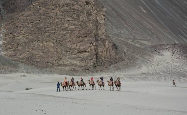 Ladakh, Hindistan - 18 Temmuz 2015. Hindistan'ın Ladakh kentinde deveye binen turistler. Ladakh, Jammu & Keşmir eyaletinin en yüksek platosudur ve büyük bir kısmı 3000 metrenin üzerindedir..