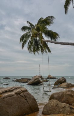 Nam Du Island, Vietnam hindistan cevizi ağacı ile Rock plaj.
