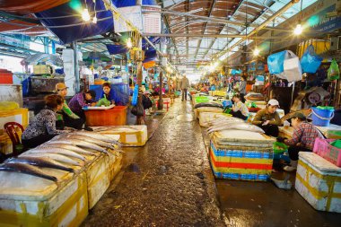 Ha Long, Vietnam - 23 Mayıs 2016. Ha Long, Vietnam'daki balıkçı pazarı. Ha Long, Vietnam'ın Quang Ninh eyaletinin başkenti ve birinci sınıf eyalet şehridir..