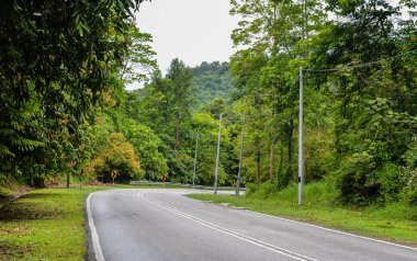 Tropikal ada Langkawi güneşli bir günde Dağ yolu, Malezya.