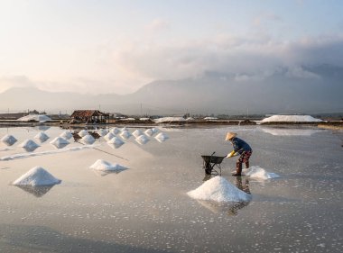 Nha Trang, Vietnam'da tuz sahasında çalışan bir kadın..