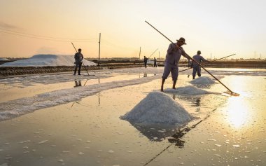 Nha Trang, Vietnam - 21. Nha Trang, Vietnam güneşli bir günde tuz alanında çalışan insanlar. Tuz alanları Nha Trang en eşsiz yerlerinden biridir.