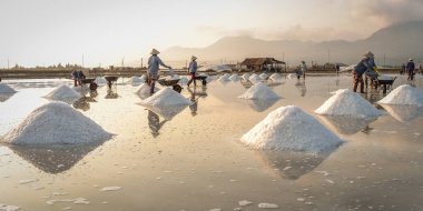 Nha Trang, Vietnam yaz aylarında tuz alanında çalışan insanlar.