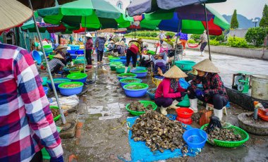 Ha Long, Vietnam - 23 Mayıs 2016. Ha Long, Vietnam'daki balıkçı pazarı. Ha Long, Vietnam'ın Quang Ninh eyaletinin başkenti ve birinci sınıf eyalet şehridir..