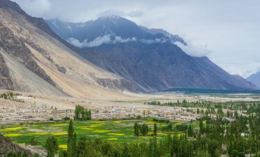 Ladakh, Hindistan'da yeşil vadi ile dağ manzarası.