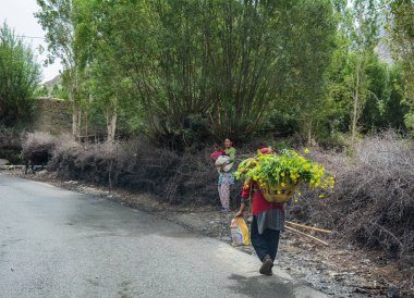 Ladakh, Hindistan - 18 Temmuz 2015. Ladakh, Hindistan'da kırsal yolda yürüyen Tibetliler. Ladakh, Jammu & Keşmir eyaletinin en yüksek platosudur ve büyük bir kısmı 3000 metrenin üzerindedir..