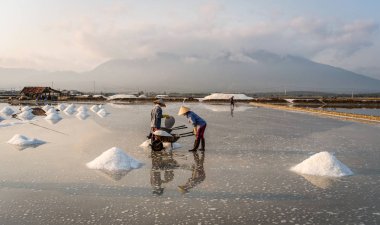 Nha Trang, Vietnam'da tuz sahasında çalışan insanlar.