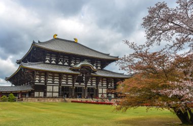 Nara, Japonya'da kiraz çiçeği ile Antik Budist tapınağı Todai-ji.