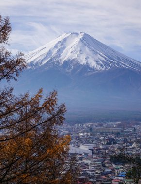 Güneşli bir günde Fuji Dağı'nın sonbahar manzarası.