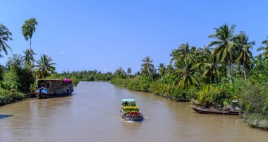 Güney Vietnam'da ilkbaharda Mekong Nehri üzerinde çiçek taşıyan kargo teknesi.