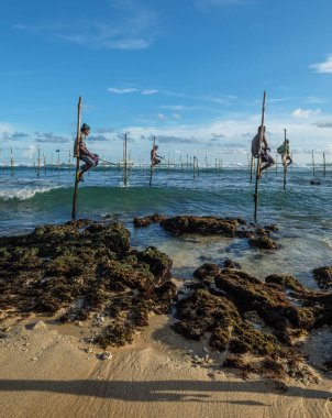 Hikkaduwa, Sri Lanka - 9 Eylül 2015. Hikkaduwa, Sri Lanka güneşli bir günde plajda benzersiz bir tarzda balıkçılık Yerel balıkçılar.