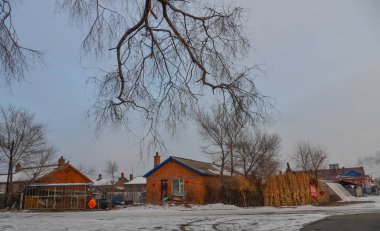 Harbin depoda kurutulmuş mısır, Kuzey Çin.
