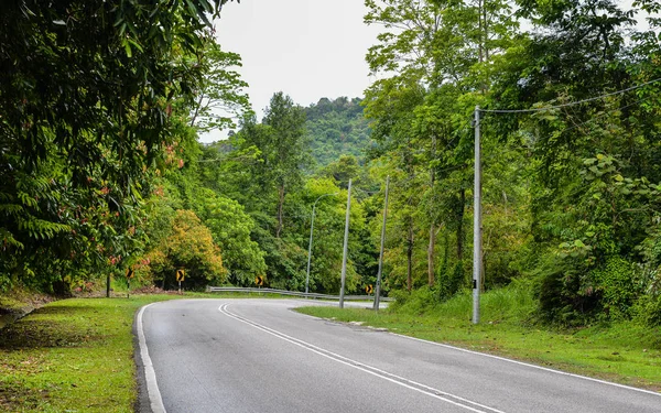 Horská Cesta Slunečného Dne Tropickém Ostrově Langkawi Malajsie — Stock fotografie