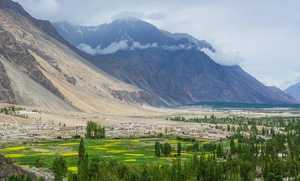 Paesaggio Montano Con Verde Valle Ladakh India — Foto Stock