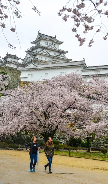 Himeji Japón Abril 2019 Gente Visita Antiguo Castillo Himeji Japón — Foto de Stock