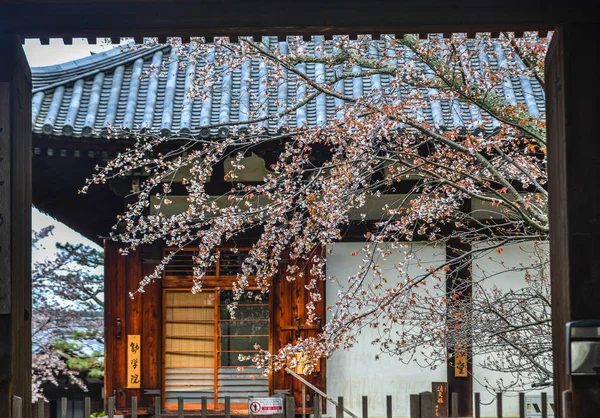 Nara Japón Abril 2019 Flores Cerezo Con Edificio Antiguo Nara —  Fotos de Stock