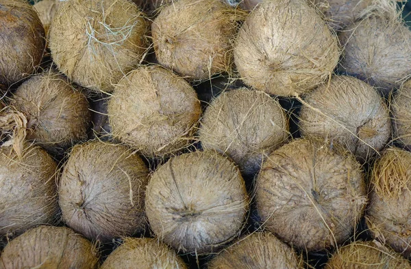 在毛里求斯马赫堡的农村市场销售椰子水果 — 图库照片
