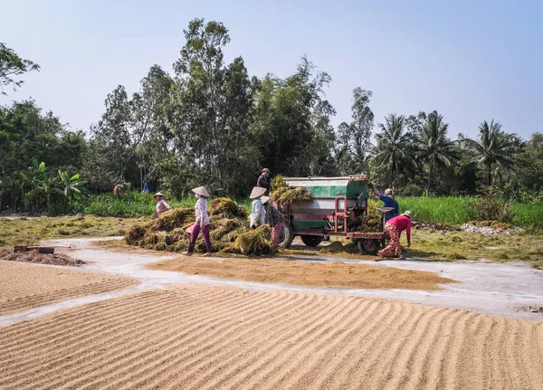 ニャチャン ベトナム 2016年3月23日 ベトナム ニャチャンの畑で機械で米を収穫する人々 — ストック写真