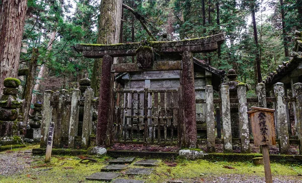 Wakayama Japón Nov 2016 Tumbas Cementerio Okunoin Koya Koyasan Wakayama —  Fotos de Stock
