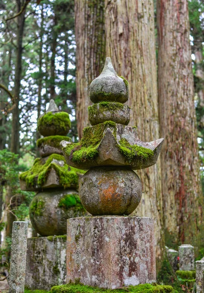 Wakayama Japan Nov 2016 Grabsteine Auf Dem Okunoin Friedhof Auf — Stockfoto