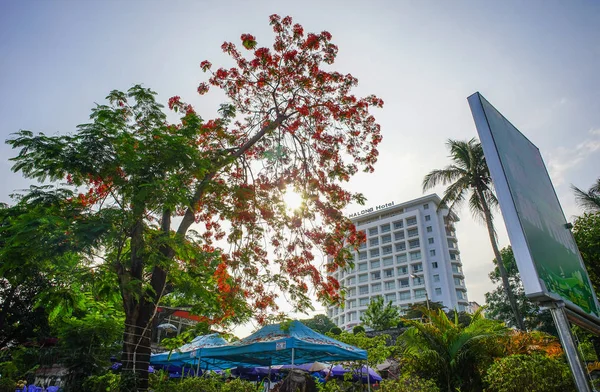 Long Vietnam Május 2016 Egy Modern Épület Zöld Parkkal Long — Stock Fotó