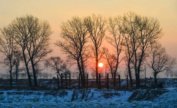 Zonsondergang Landschap Winter Met Veel Bomen Leeg Veld — Stockfoto