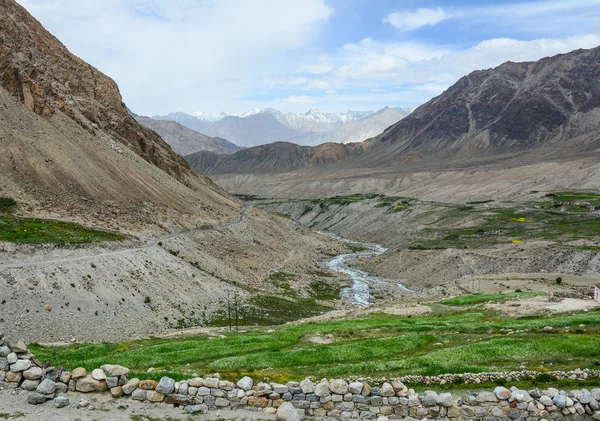 Paesaggio Montagna Estate Ladakh India Ladakh Altopiano Più Alto Dello — Foto Stock