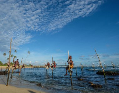 Hikkaduwa, Sri Lanka - 9 Eylül 2015. Hikkaduwa, Sri Lanka güneşli bir günde plajda benzersiz bir tarzda balıkçılık Yerel balıkçılar.