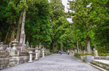 Wakayama, Japonya - 24 Kasım 2016. Wakayama, Japonya'daki Koya (Koyasan) Mt. Koya'daki Okunoin Mezarlığı'nda çam ormanı bulunan mezar taşları.