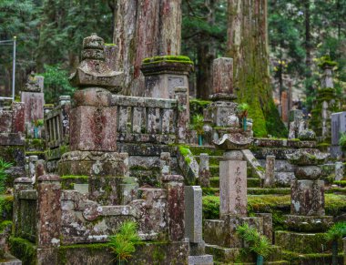 Wakayama, Japonya - 24 Kasım 2016. Wakayama' daki Koya (Koyasan) Mt. Koya'daki Okunoin Mezarlığı'ndaki mezar taşları.