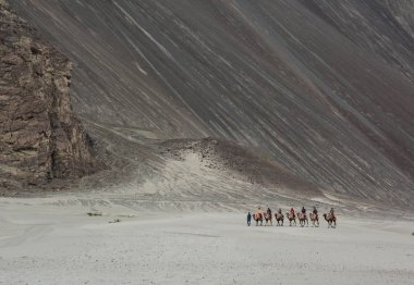 Ladakh, Hindistan - 18 Temmuz 2015. Hindistan'ın Ladakh kentinde deveye binen turistler. Ladakh, Jammu & Keşmir eyaletinin en yüksek platosudur ve büyük bir kısmı 3000 metrenin üzerindedir..
