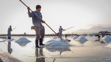 Nha Trang, Vietnam - 21. Nha Trang, Vietnam'da tarlada tuz toplayan insanlar. Tuz alanları Nha Trang en eşsiz yerlerinden biridir.
