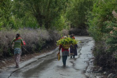 Tibet halkının Ladakh, Hindistan kırsal yolda yürürken. Çok fazla 3000 m olan Jammu ve Keşmir eyaletinde en yüksek Plato Ladakh olduğunu.