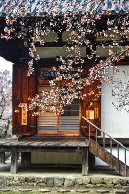 Nara, Japonya - Nis 10, 2019. Nara, Japonya'da antik bina ile Kiraz çiçekleri. Nara, japonya'nın eski başkentidir..