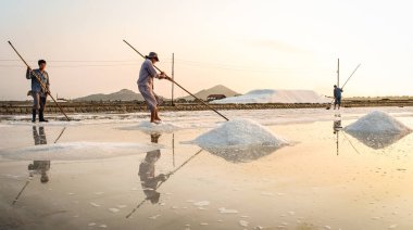 Nha Trang, Vietnam - 21. Nha Trang, Vietnam güneşli bir günde tuz alanında çalışan insanlar. Tuz alanları Nha Trang en eşsiz yerlerinden biridir.